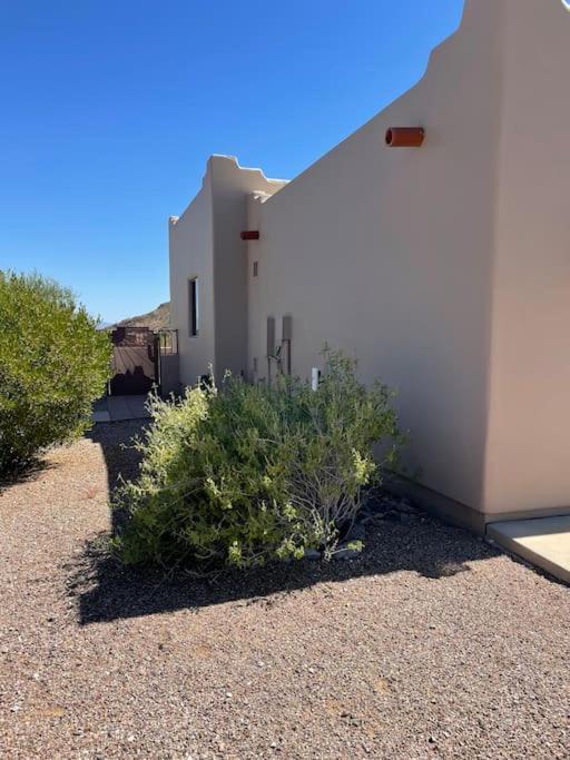 Tucson Mnt Foothills Saguaro Bliss Villa Eksteriør billede
