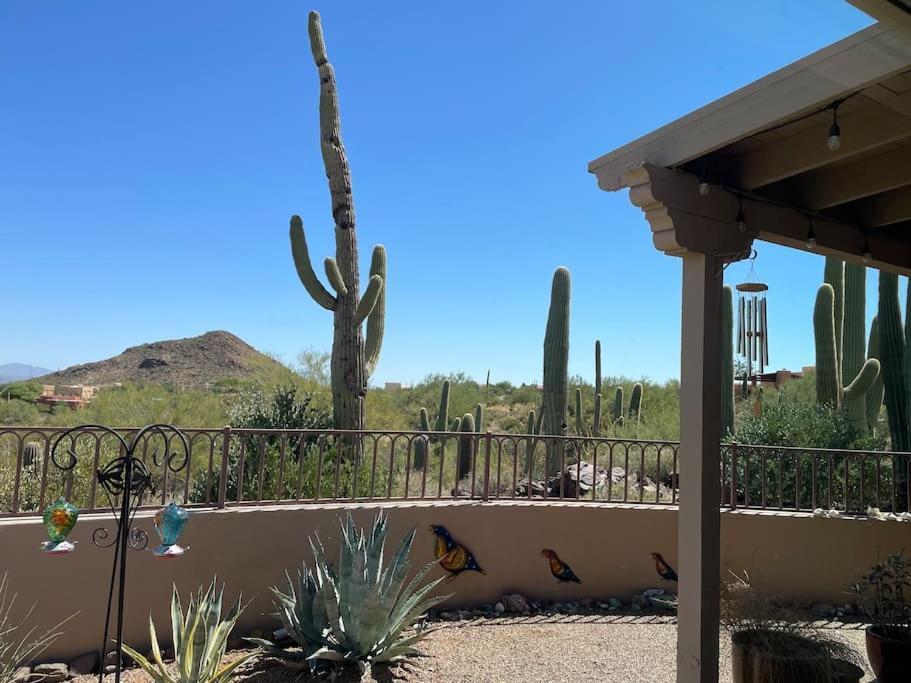Tucson Mnt Foothills Saguaro Bliss Villa Eksteriør billede
