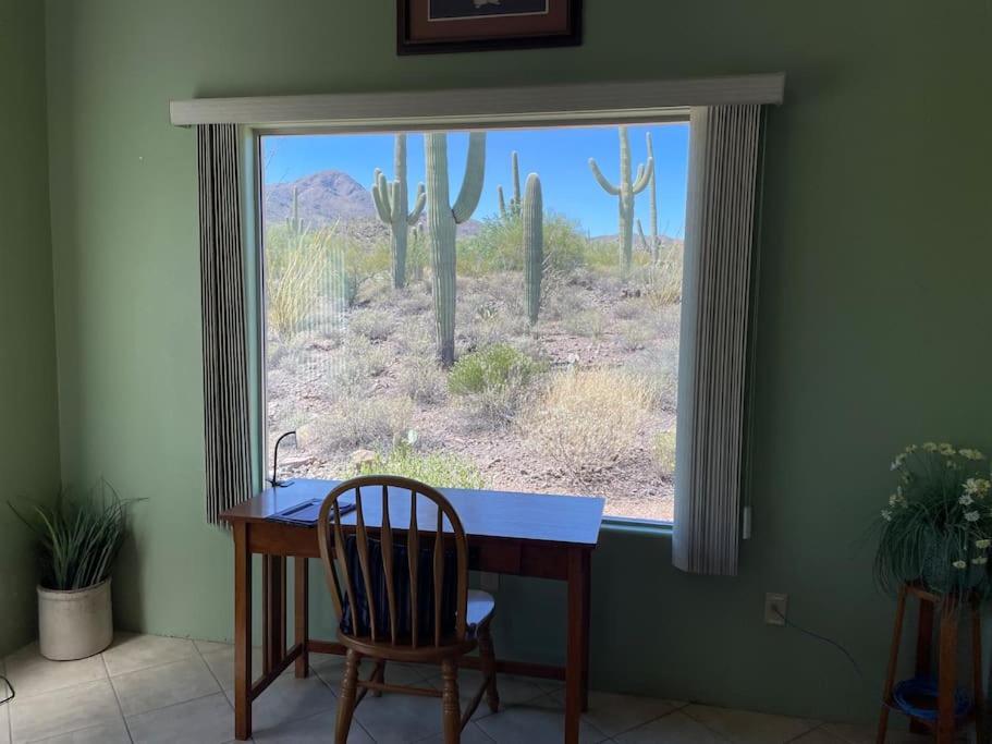 Tucson Mnt Foothills Saguaro Bliss Villa Eksteriør billede