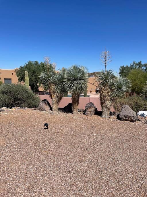 Tucson Mnt Foothills Saguaro Bliss Villa Eksteriør billede