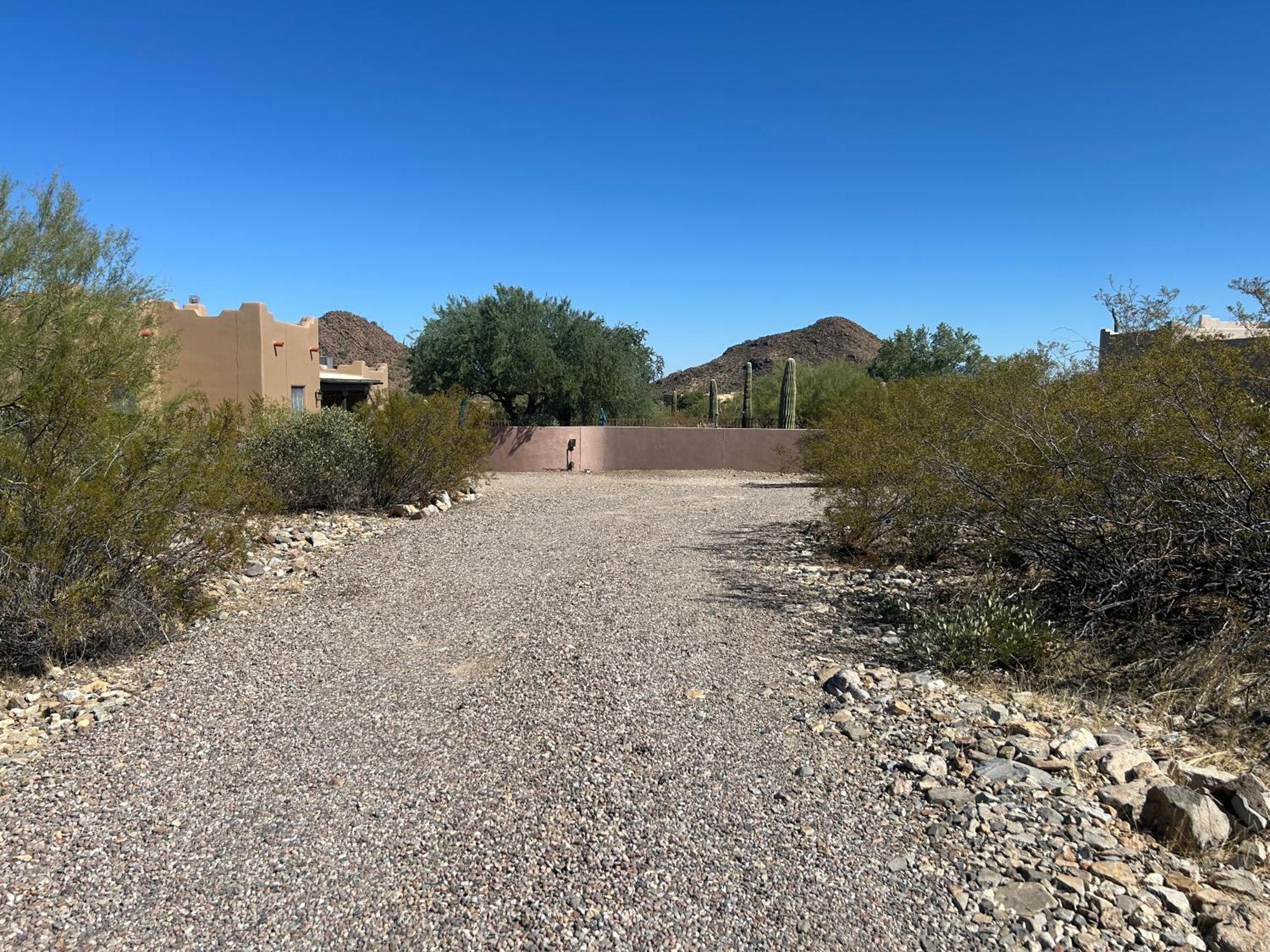 Tucson Mnt Foothills Saguaro Bliss Villa Eksteriør billede