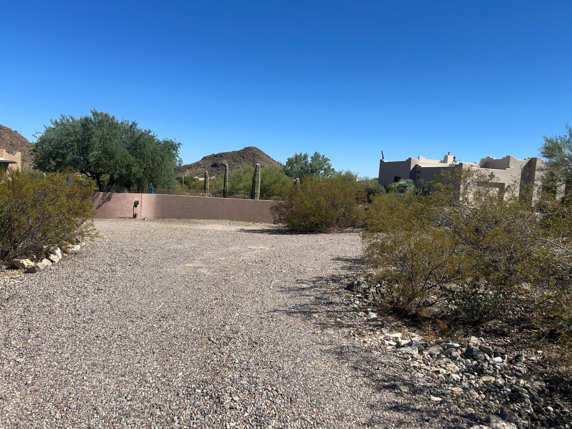 Tucson Mnt Foothills Saguaro Bliss Villa Eksteriør billede